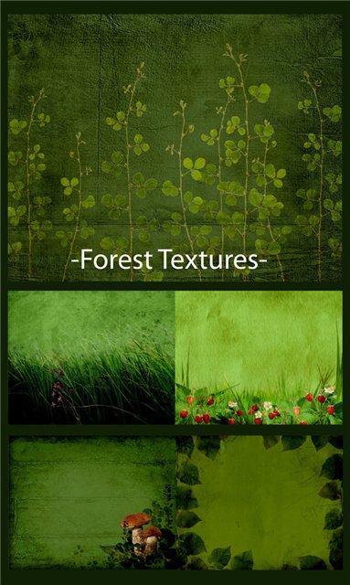 Forest Textures.