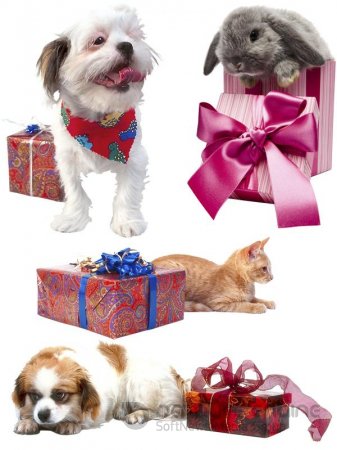 Коты, собаки, кролики и подарки (подборка клипарта)