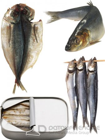 Рыба замороженная, вяленая, сырая, сушеная и вяленая (часть вторая)
