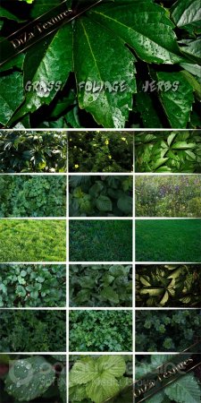 Grass, foliage, herbs - textures for design