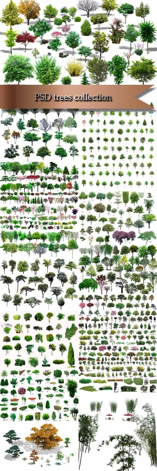 PSD trees collection