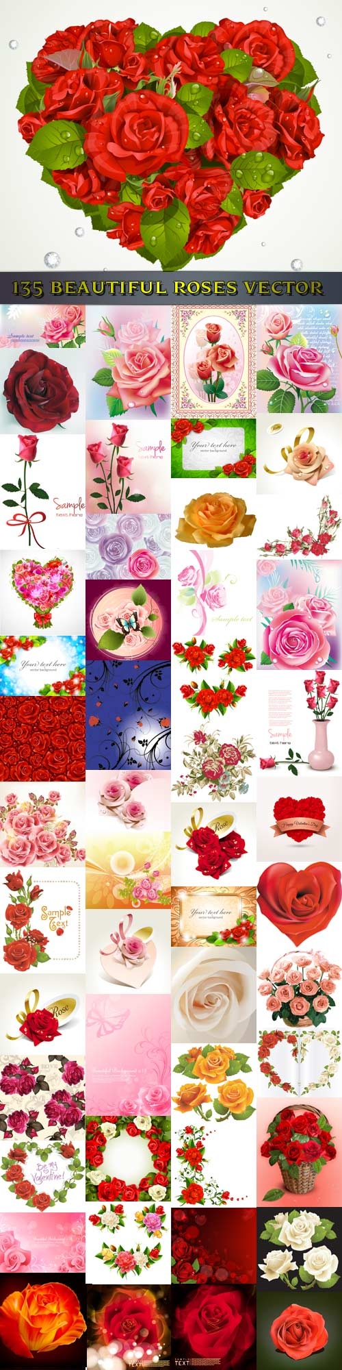 135 beautiful roses vector