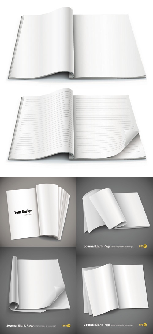 Exquisite vector blank notebook