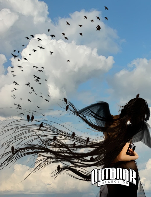  Rons Daviney Birds - ����� ��� �������