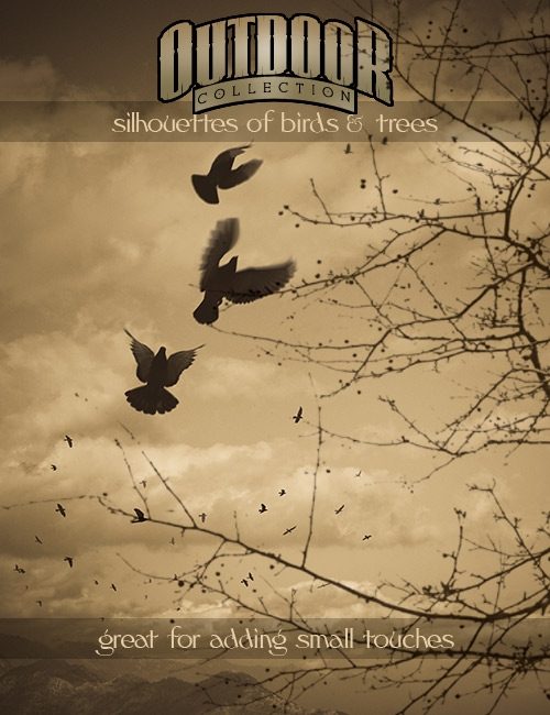  Rons Daviney Birds - ����� ��� �������