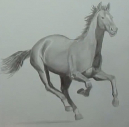  ������ ������ ���������� (2014)