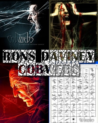  Rons Daviney Cobwebs - ��������� �������