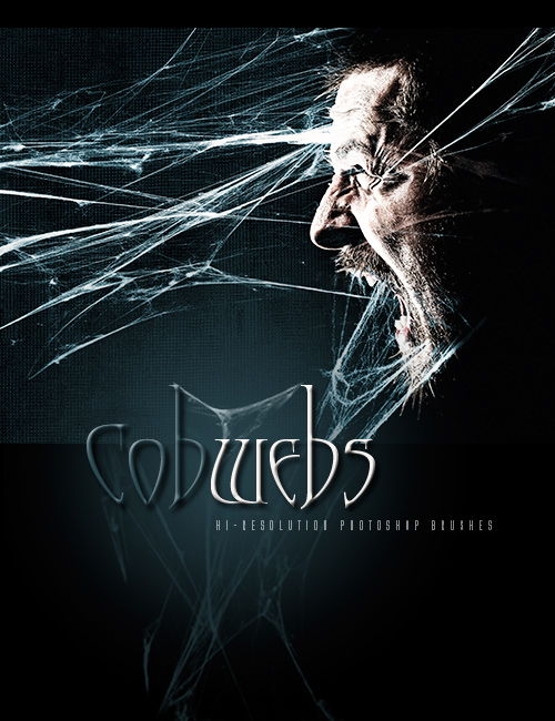  Rons Daviney Cobwebs - ��������� �������