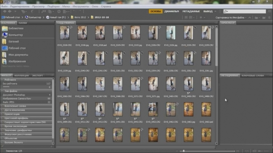  �������� � Adobe Bridge (2015)