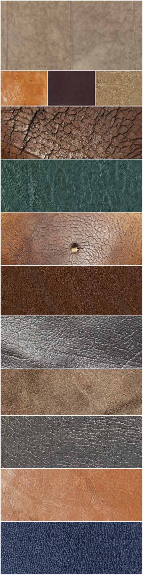 Leather texture mammals part 3