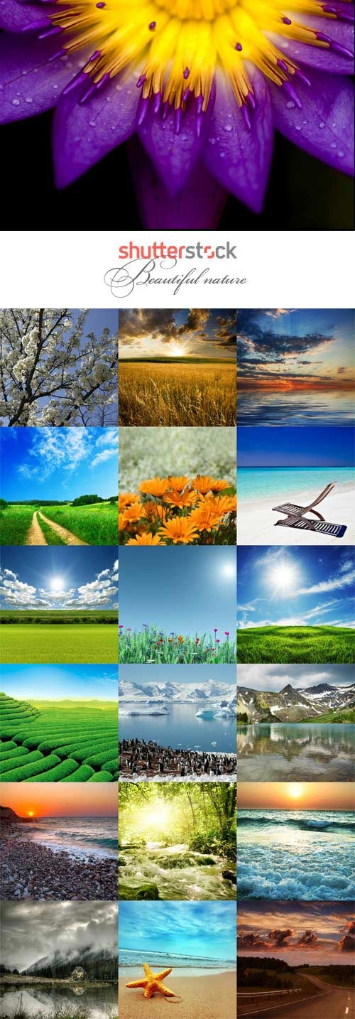Beautiful nature raster graphics
