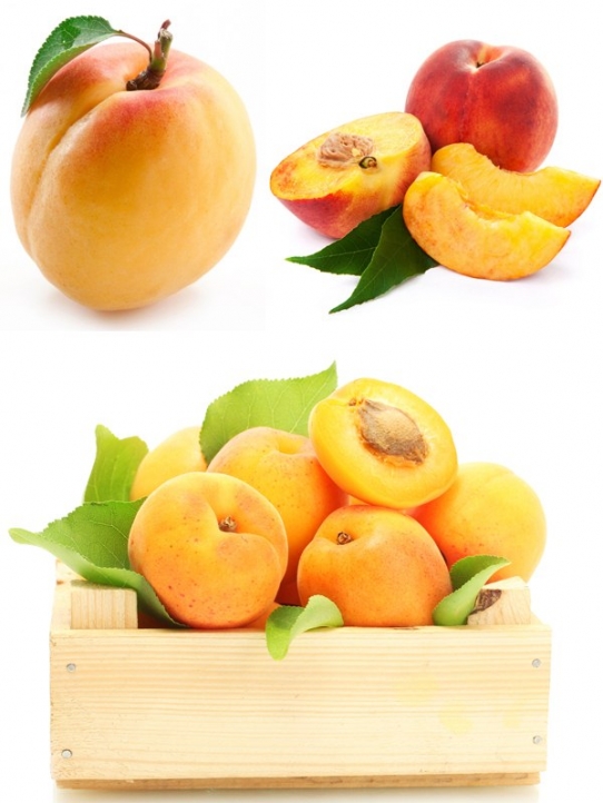 Абрикос и персик (подборка изображений фруктов)