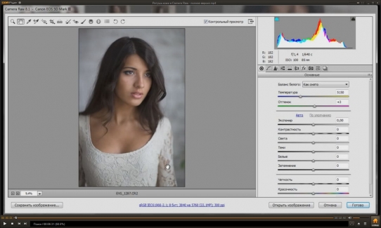  ������ ���� � Camera Raw - ������ ������ (2015)