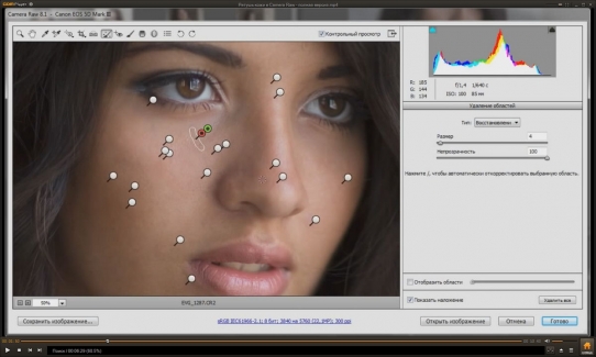  ������ ���� � Camera Raw - ������ ������ (2015)
