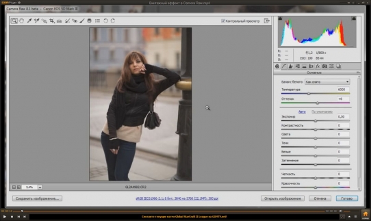  ��������� ������ � Camera Raw (2015)