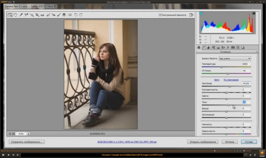  ��������� ������ � Camera Raw (2015)