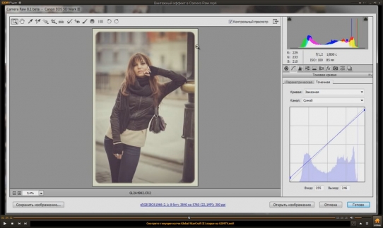  ��������� ������ � Camera Raw (2015)