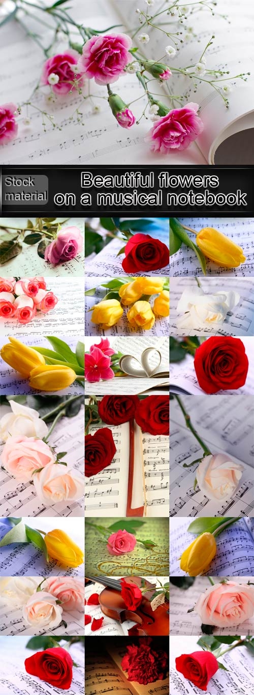 Красивые цветы на нотной тетради