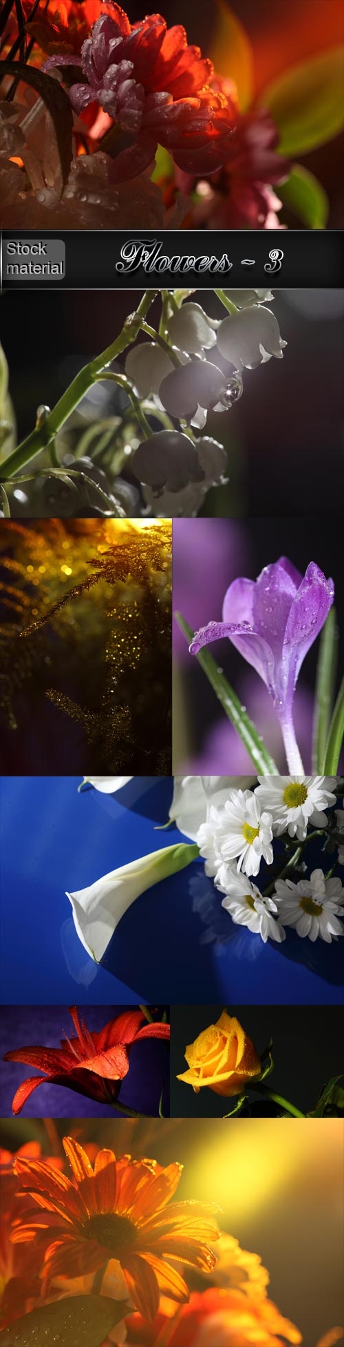 Various awesome flowers