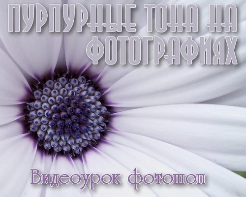  ��������� ���� �� ����������� � ������� (2015) 