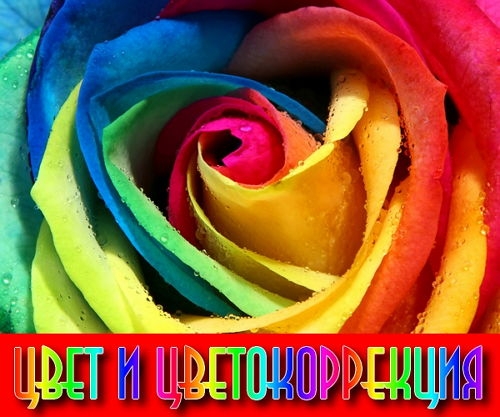  ���� � �������������� (2015) 