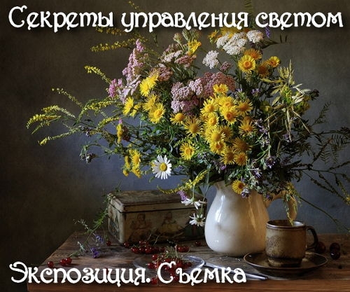  ������� ���������� ������. ����������. ������ (2015) 