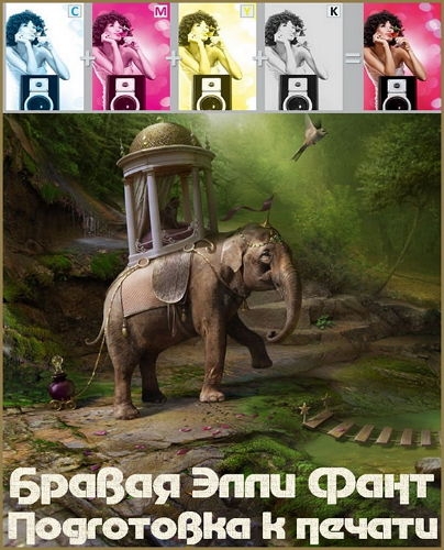 ������ ���� ���� � ���������� � ������ (2015) 