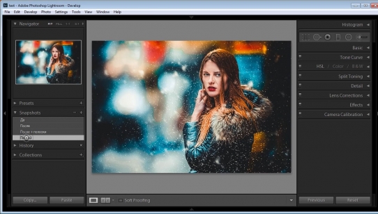  ��������������� � lightroom (2015) 
