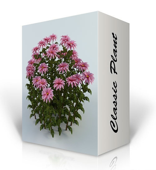 Classic Plant: 3D-модели декоративных цветов