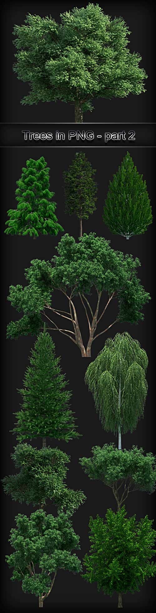 Trees on a transparent background PNG - 2