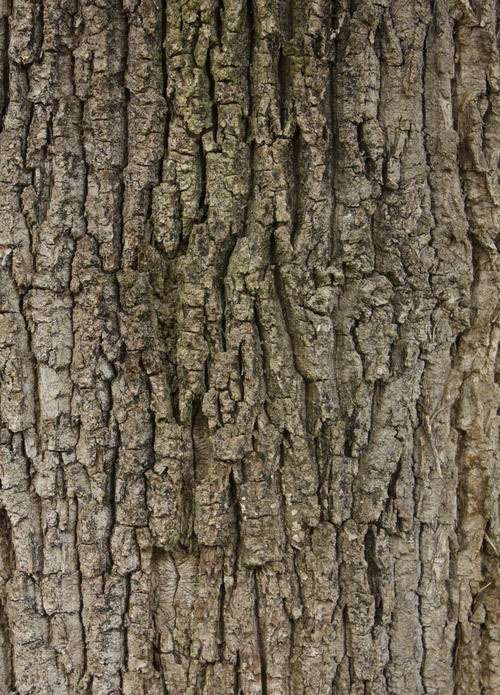 800+ textures by Joost Vanhoutte: ������� �������