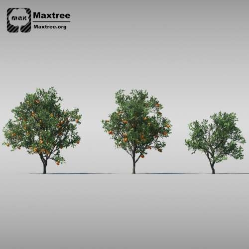 Maxtree � Complete Collection 3D Plants: 3d-������ ��������, ��������������