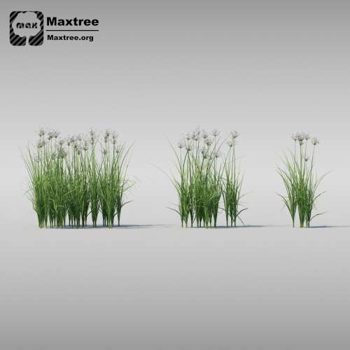 Maxtree � Complete Collection 3D Plants: 3d-������ ��������, ��������������