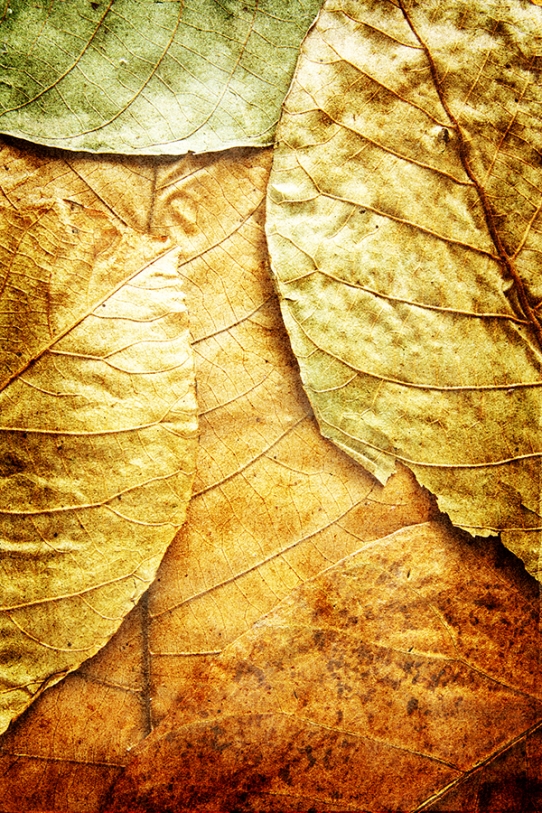Textures & Backgrounds Pack from Shutterstock Pt. 1: ������� ������� � �����