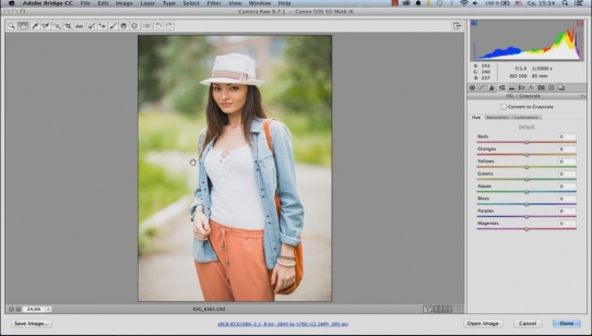  ������ � Camera Raw - ������������� (2016) 