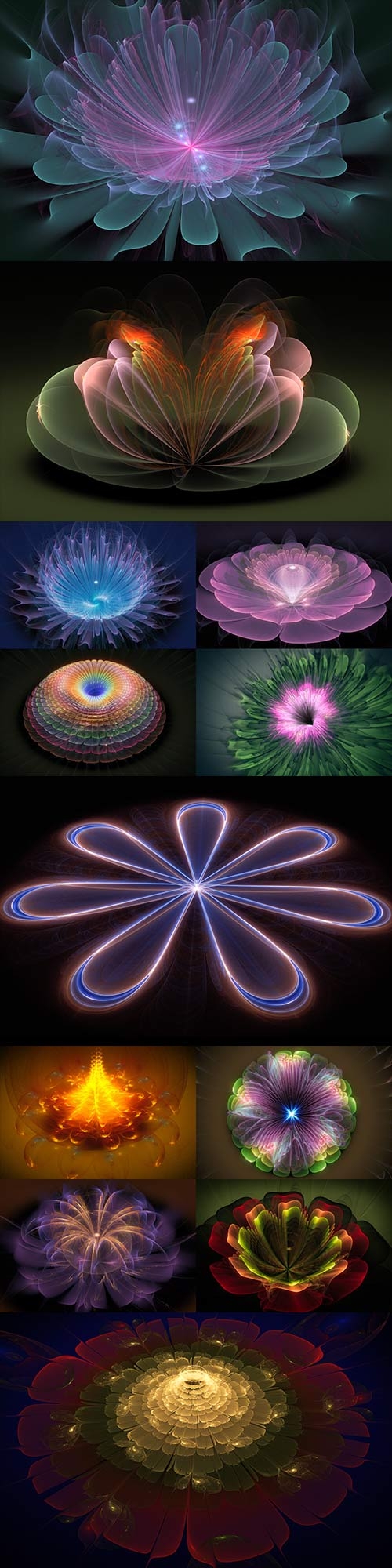 Stunning magic of fractal flowers