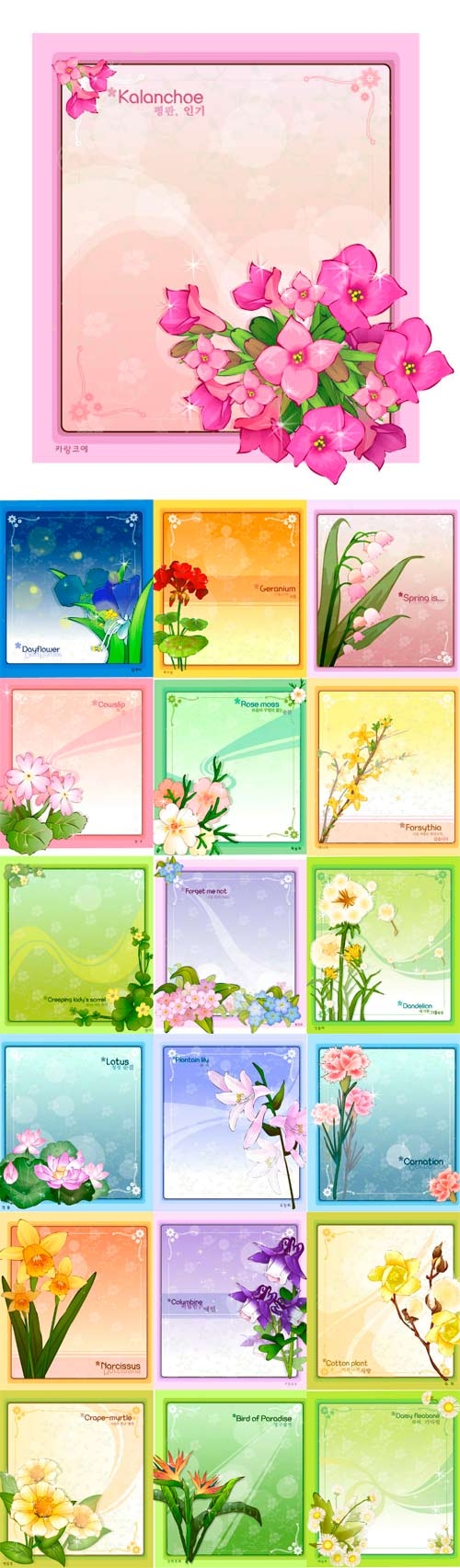 Vector frames collection - 4