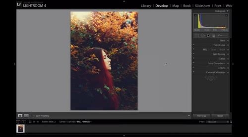 �������������� � Lightroom. ����������� ���������� (2017)