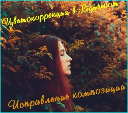 �������������� � Lightroom. ����������� ���������� (2017)