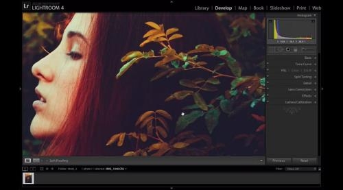�������������� � Lightroom. ����������� ���������� (2017)