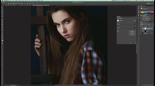 ������ ������� ���������. Portraiture � �������� actions (2017)