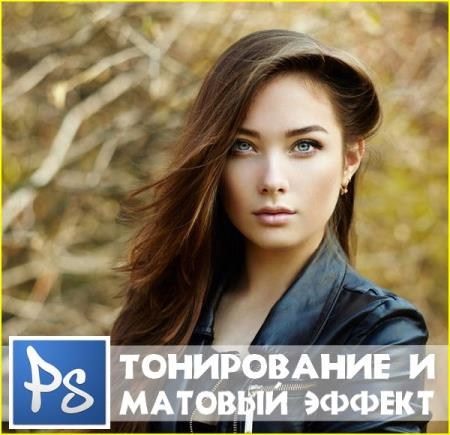 ����������� � ������� ������ (2017)