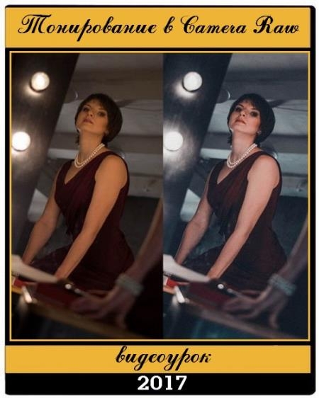 ����������� � Camera Raw (2017)