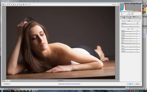 ��������� ���������� Dodge & Burn (speed retouching 3 parts) (2017)