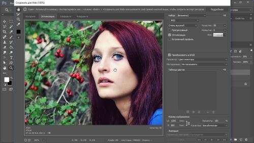 ���������� Photoshop. ������ ���������� � Photoshop (2017)