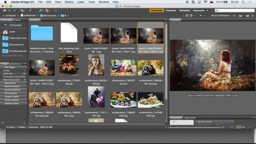 ���������� � Photoshop � Lightroom (2017)