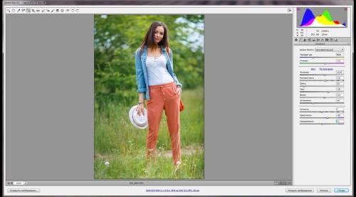 Photoshop � Camera Raw. ��������� ���������� (2017)