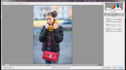 Photoshop � Camera Raw. ��������� ���������� (2017)