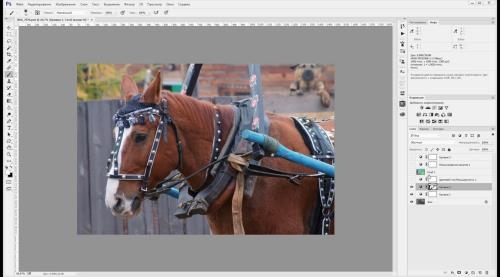 Photoshop � Camera Raw. ��������� ���������� (2017)