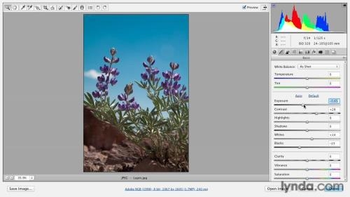 ��������� �������� � Photoshop, Bridge � Camera Raw (2018)